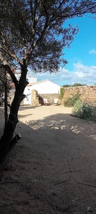 Casa Sardinia Διαμέρισμα Muravera Εξωτερικό φωτογραφία